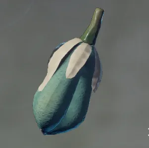 Yucca Fruit