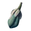 Yucca Fruit