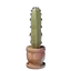 Medium Cactus Plant Pot
