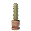 Medium Cactus Plant Pot