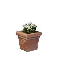 Square White Flower Pot