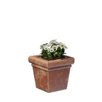 Square White Flower Pot