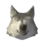 Wolf trophy