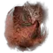 Elden-ring ekzykess-decay.webp