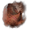 Elden-ring ekzykess-decay.webp