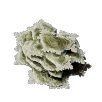 Brittle Shroud Flakes