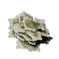 Brittle Shroud Flakes