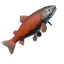 Crimsonback