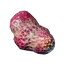 Spider Gland