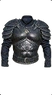 Grandmaster legendary forgotten Wolven armor