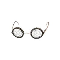 Disciple's Spectacles