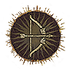 Dragon's Dogma 2 Recovery Arrow.webp