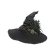 Dragon's Dogma 2 Witchs Hat.webp