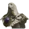 Elden-ring godskin-apostle-hood.webp
