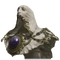 Elden-ring godskin-apostle-hood.webp