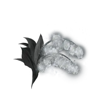 Grave Glovewort [8]