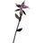 Nightshade