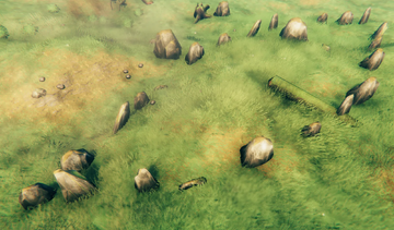 Viking Graveyard