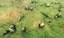 Viking Graveyard