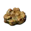 Shroud Mushroom