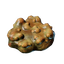 Shroud Mushroom