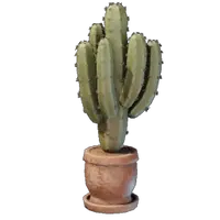 Large Cactus Plant Pot