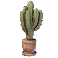 Large Cactus Plant Pot