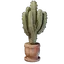 Large Cactus Plant Pot