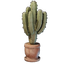 Large Cactus Plant Pot