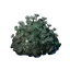 Underwater Luminous Growth