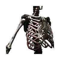 Epimorphic Skeleton