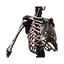 Epimorphic Skeleton