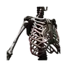 Epimorphic Skeleton