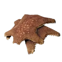 Animal Fur