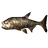 Cooked Vampire Fish