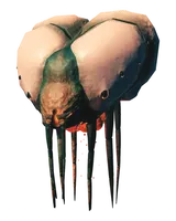 Gjall