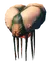 Gjall