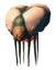 Gjall
