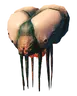 Gjall