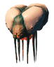 Gjall