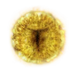 Marika's Rune