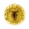 Elden-ring marikas-rune.webp