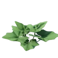 Grapple Plant Seedling