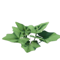 Grapple Plant Seedling