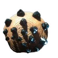 Spearfisher's Shield