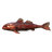 Direfish