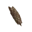Dragon's Dogma 2 Cinnamon Bark.webp