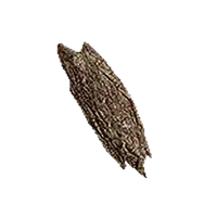 Cinnamon Bark