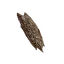 Cinnamon Bark