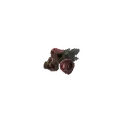 Dragon's Dogma 2 Rotten Raspberry.webp